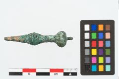 Foto von Bronzenadelspitzenschoner (NHMW-PRAE-026342)